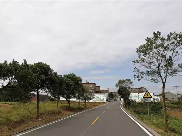 天台杭州市政道路施工时间段深度剖析：平衡建设与城市生活